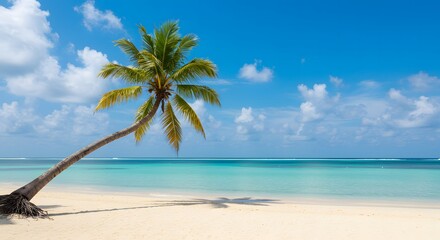 Tropical beach with leaning palm tree