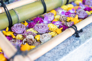 神社の花手水、日本の手水舎