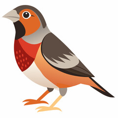 Detailed Vector Illustration of a Finch Bird on a Clean White Background Ideal for Various Design