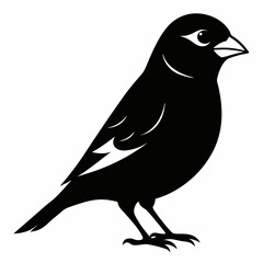 Elegant Finch Silhouette Vector Illustration on White Background Perfect for Nature Wildlife and Bird Themed Designs
