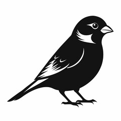 Sparrow Silhouette Vector Design on White Background Simple Bird Illustration for Graphic Design Projects and Creative