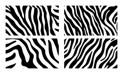 zebra print seamless stripe pattern set © Aisha Kudorova