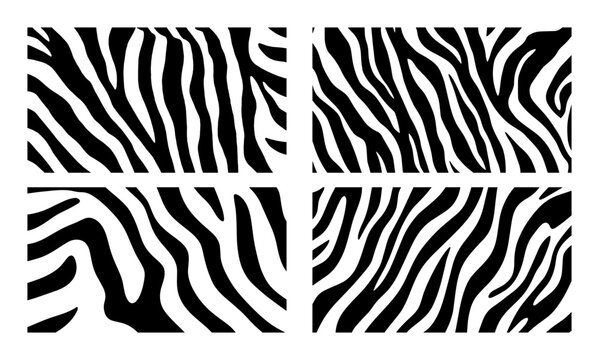 zebra print seamless stripe pattern set