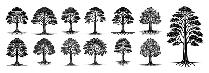 realistic tree silhouette illustration collection