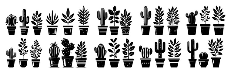 cactus and succulent potted plant icon set © Aisha Kudorova