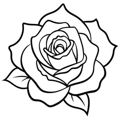 Elegant Rose Vector Illustration on a Clean White Background for Graphic Design Projects and Creative Applications