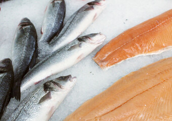 Sea bream fish and red fish lie on snow and ice. Sale of chilled fish