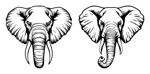 realistic elephant head line art vector