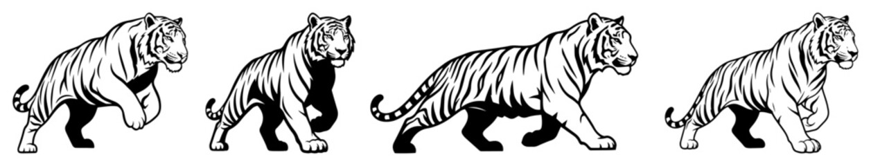tiger walking pose vector silhouette set