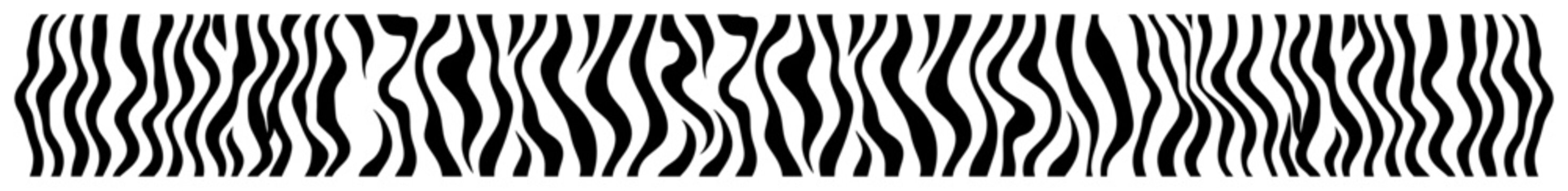 thin zebra stripe wavy pattern border design