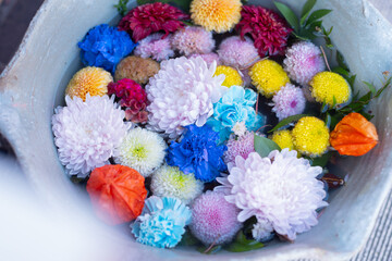 神社の花手水、日本の手水舎