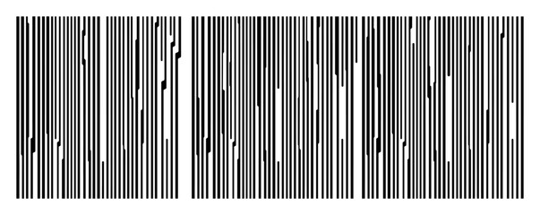 long vertical barcode stripe glitch panel