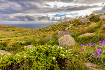 Malowniczy krajobraz wodny z wybrzeżem nad Oceanem Atlantyckim na egzotycznej wyspie Madera, pejzaż morski, tło lub tapeta do projektu © anettastar