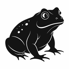 Surinam Toad Silhouette on White Background Vector Illustration of Pipa Pipa Amphibian for Design Projects