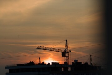 Obraz premium crane at sunset