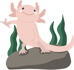 바다생물 우파루파