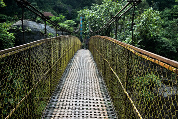 Suspension bridge with yellow netting, surrounded by green foliage in Meghalaya. 