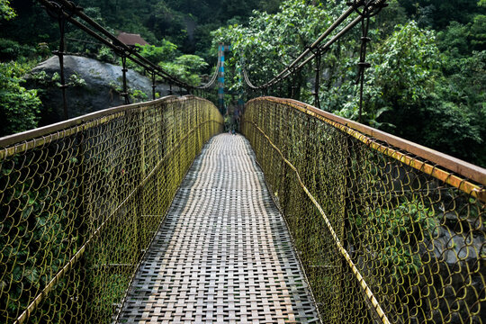 Fototapeta Suspension bridge with yellow netting, surrounded by green foliage in Meghalaya. 