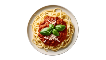 Spaghetti with Tomato Sauce – Isolated on White