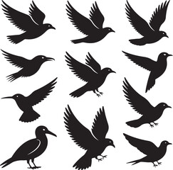 Bird Silhouettes Bundle – 10 Flying Birds in Side and Top Views – Eagle, Dove, Owl, Hawk, and More – Black on White Vector Set