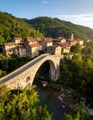 Stone Bridge in Traditional Chinese Landscape