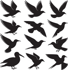 Bird Silhouettes Bundle – 10 Flying Birds in Side and Top Views – Eagle, Dove, Owl, Hawk, and More – Black on White Vector Set
