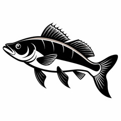 Detailed Walleye Fish Silhouette Vector Illustration on a White Background for Graphic Design Projects