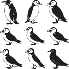 Cold Climate Bird Silhouette Vector Bundle – Emperor Penguin, Puffin, Snowy Owl, Arctic Tern, Albatross & More