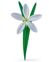 Fototapeta premium Delicate White Flower with Vibrant Green Leaves on White Background