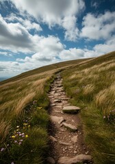 Uphill Mountain Path Through Wildflowers