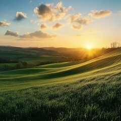 Obraz premium sunset among a green fields