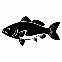 Barramundi fish silhouette on a white background vector illustration for design elements and creative projects