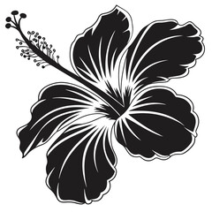 Black silhouette of tropical hibiscus flower shows intricate detail on white backdrop clearly