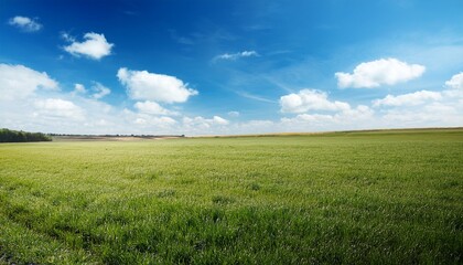 Obraz premium clear blue sky