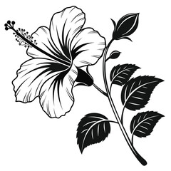 Detailed black and white hibiscus flower shows off its bud and leaves beautifully