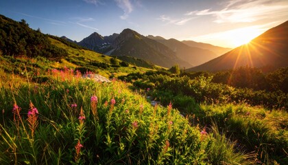 A vibrant mountain landscape with wildflowers in the foreground, lush greenery, and the sun setting behind rugged peaks.
