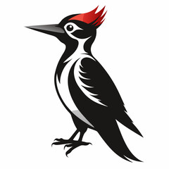 Woodpecker Silhouette Vector Illustration on White Background Detailed Bird Design for Creative Projects and Graphic Applications