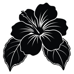 Black hibiscus flower with two detailed leaves offers tropical elegance and simple beauty © produmnya 