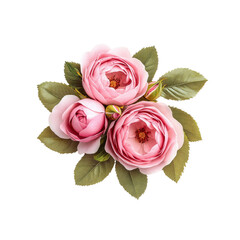 Delicate Pink Rose Bouquet on Transparent Background