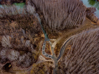 Stream Crossing Through Leafless Woods