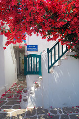 Mykonos vibes