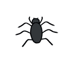 spider illustration, halloween items 