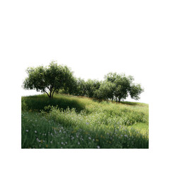 Serene Spring Meadow with Lush Trees and Wildflowers