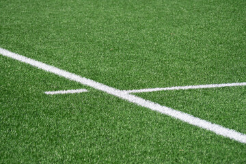 Green turf field marked with a white line showing the boundary of play