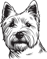 vector illustration of a West Highland White Terrier dog