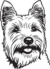 West Highland White Terrier dog portrait