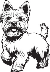 running West Highland White Terrier dog