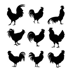 Set of Chicken Vector Bundle