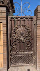 Ornate metal gate with intricate design against blue sky