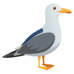 Minimalist vector illustration of a seagull in flight against a clean white background created 